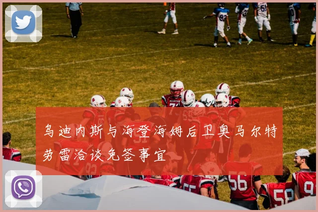 乌迪内斯与海登海姆后卫奥马尔特劳雷洽谈免签事宜